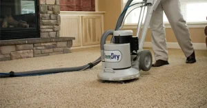 Read more about the article قالیشویی در پونک