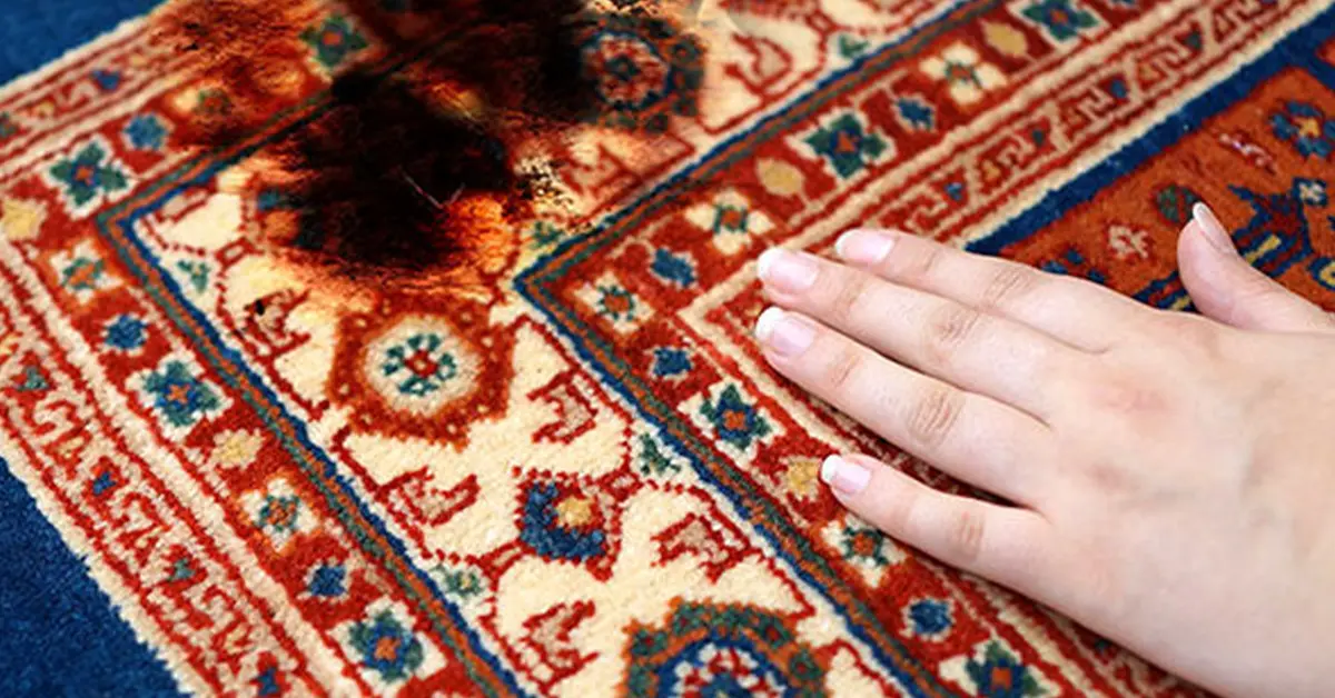 بررسی و ترمیم سوختگی فرش