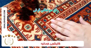 Read more about the article رفع سوختگی فرش